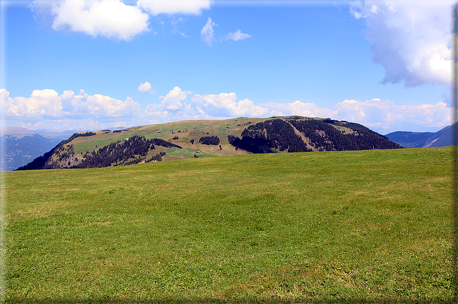 foto Alpe di Siusi